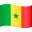 🇸🇳