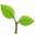 🌱
