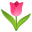 🌷