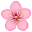 🌸
