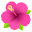🌺