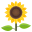 🌻