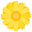 🌼