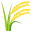 🌾