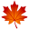 🍁