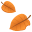 🍂