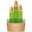 🎍