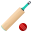 🏏