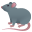 🐀