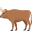 🐂