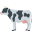 🐄