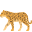 🐆