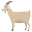 🐐