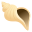🐚