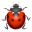 🐞