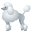 🐩