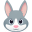 🐰
