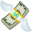 💸