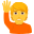 🙋