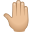 🤚🏼