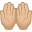🤲🏼