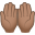 🤲🏽