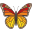 🦋
