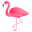 🦩