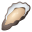 🦪