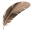 🪶