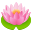 🪷