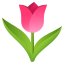🌷