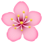 🌸