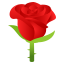 🌹