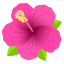 🌺