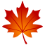 🍁
