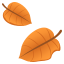 🍂