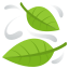 🍃