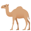 🐪