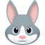 🐰