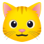🐱