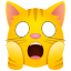 🙀