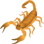 🦂