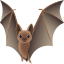 🦇