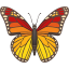 🦋