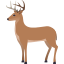 🦌